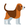 Perrito